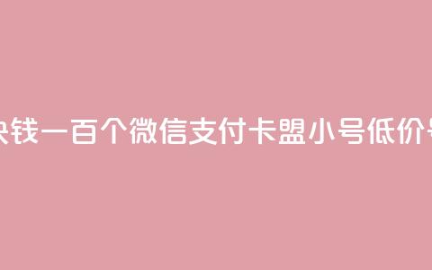 快手一块钱一百个微信支付 - 卡盟qq小号低价号  第1张