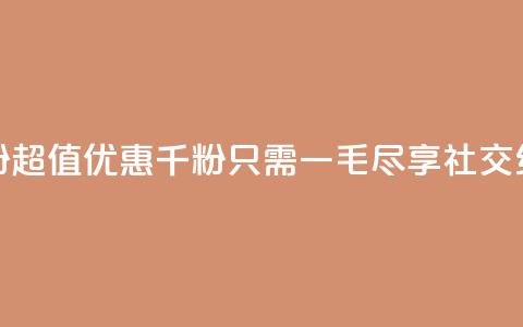 低价Ks一毛1000粉 - 超值优惠千粉只需一毛尽享社交红利！  第1张