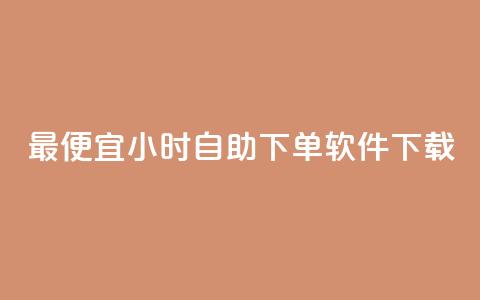 最便宜24小时自助下单软件下载,dy24小时自动下单平台 - 网红助手的售后服务 抖音粉丝增加业务  第1张
