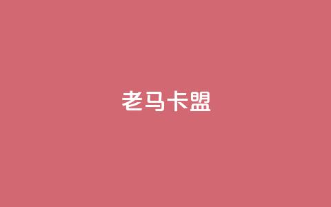 老马卡盟 - 老马卡盟：提升网站SEO效果的有效工具。  第1张