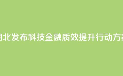 湖北发布科技金融质效提升行动方案 第1张 湖北发布科技金融质效提升行动方案 第1张