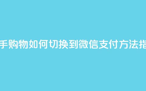 快手购物如何切换到微信支付方法指南 第1张 快手购物如何切换到微信支付方法指南 第1张
