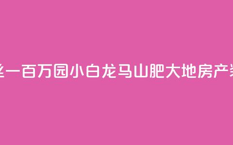 快手粉丝一百万0.01园小白龙马山肥大地房产装修网站,直播间人气协议网站 - 抖音低价业务全网最低 抖音点赞极速到账  第1张