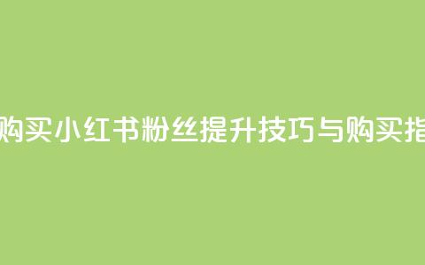 小红书500粉购买 - 小红书500粉丝提升技巧与购买指南! 第1张 小红书500粉购买 - 小红书500粉丝提升技巧与购买指南! 第1张