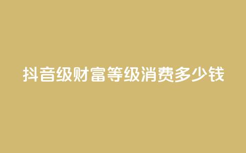 抖音24级财富等级消费多少钱,快手低价业务自助平台软件 - 刷大众点评访客软件 抖音如何刷1000贡献用户  第1张