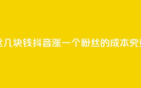 抖音涨一个粉丝几块钱(抖音涨一个粉丝的成本究竟是多少)  第1张