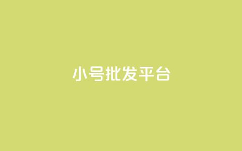dy小号批发平台 - dy小号批发平台推荐与购买指南!  第1张