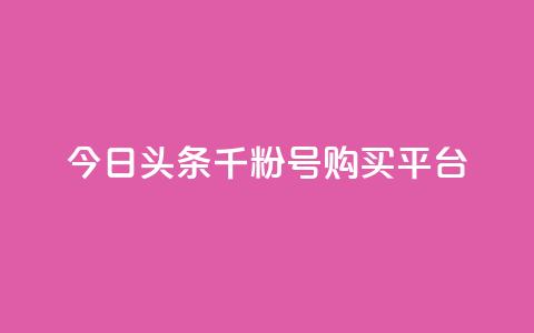今日头条千粉号购买平台 - 解读今日头条千粉号购买平台，帮你实现粉丝加速增长~  第1张