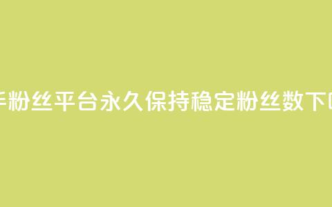 快手粉丝平台永久保持稳定粉丝数 第1张 快手粉丝平台永久保持稳定粉丝数 第1张