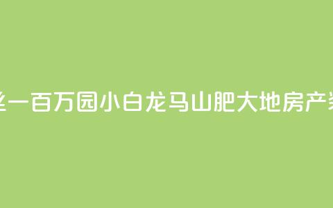快手粉丝一百万0.01园小白龙马山肥大地房产装修网站,ks24h自助下单 - ks互赞 ks全天自助下单微信支付  第1张