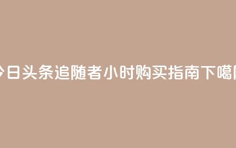 今日头条追随者24小时购买指南  第1张
