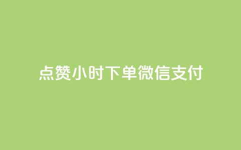 点赞24小时下单微信支付 - 24小时内轻松下单	，微信支付便捷无忧!  第1张