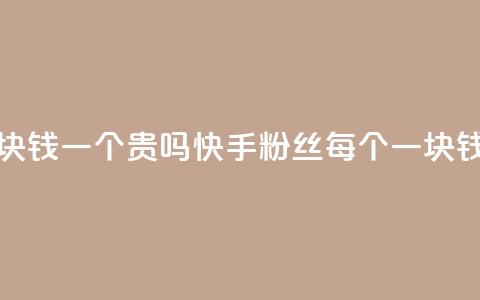 快手粉丝一块钱一个贵吗 - 快手粉丝每个一块钱贵吗？。  第1张