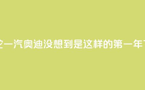 i人掌舵一汽奥迪	，“没想到是这样的第一年”  第1张