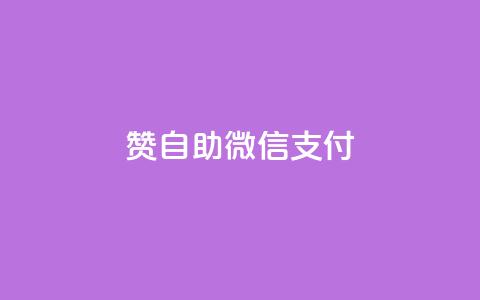 Ks赞自助微信支付,免费领取播放量快手 - 粉丝七万的账号能卖多少钱 全网低价免费自助下单  第1张