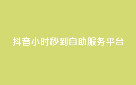 抖音24小时秒到自助服务平台,抖音业务下单秒到账 - 24自助下单服务平台便宜 快手自助平台在线下单正规  第1张