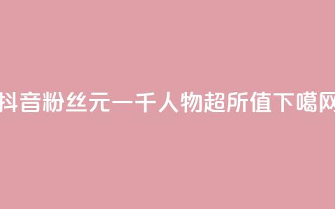 抖音粉丝6元一千人，物超所值！  第1张