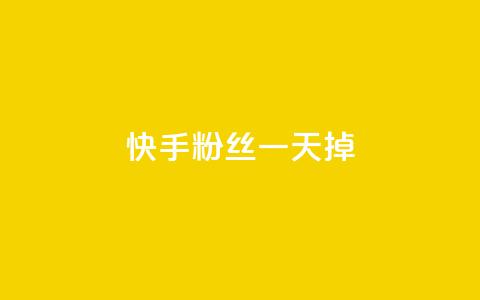 快手粉丝一天掉500 - 快手粉丝每天锐减500，成果靠SEO优化能挽回吗？!  第1张