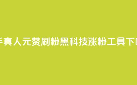 快手真人1元100赞 - 刷粉黑科技涨粉工具  第1张