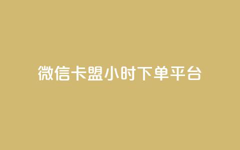 微信卡盟24小时下单平台 - 微信卡盟全天候下单平台介绍。  第1张