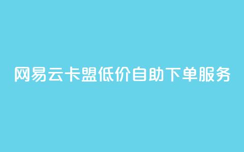 网易云卡盟低价自助下单服务  第1张