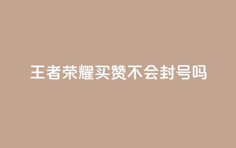 王者荣耀买赞不会封号吗,抖音5000粉丝账号价格是多少 - 快手24小时业务平台 qq会员低价卡网  第1张