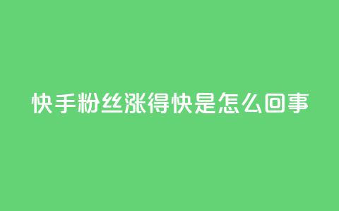 快手粉丝涨得快是怎么回事,快手播放量设置器下载 - 免费快手作品点赞的 抖音点赞辅助器破解 第1张 快手粉丝涨得快是怎么回事,快手播放量设置器下载 - 免费快手作品点赞的 抖音点赞辅助器破解 第1张