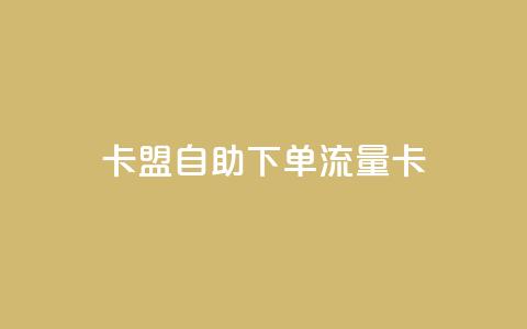 卡盟自助下单流量卡 - 自助下单流量卡升级体验!  第1张