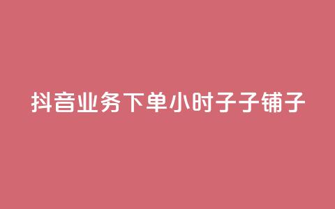 抖音业务下单24小时子子铺子 - 抖音快速下单助力24小时子铺新体验。  第1张