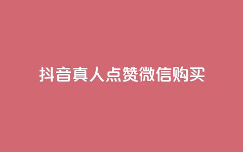 抖音真人点赞微信购买,24小时微商软件自助下单商城 - 抖音自动访客软件 快手涨粉一元下单  第1张