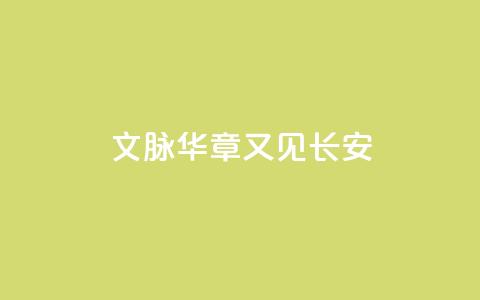 文脉华章|又见长安 第1张 文脉华章|又见长安 第1张