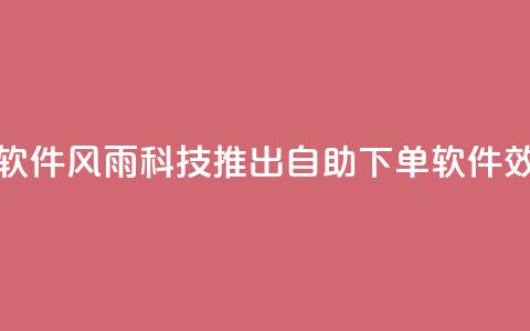 风雨科技自助下单软件 - 风雨科技推出自助下单软件	，效率提升不止！~  第1张
