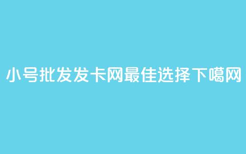小号批发发卡网VX：最佳选择  第1张