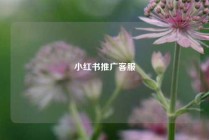 小红书推广客服