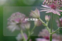 小红书滑块