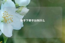 快手下单平台叫什么