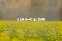淘宝粉丝一万粉丝的好处