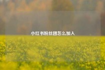 小红书粉丝团怎么加入