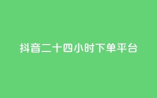 抖音二十四小时下单平台,快手24小时低价下单平台 - 卡盟游戏辅助平台 - kscall自助下单