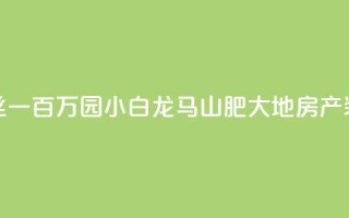 快手粉丝一百万0.01园小白龙马山肥大地房产装修网站,ks24h自助下单 - ks互赞 - ks全天自助下单微信支付