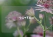 小红书客服app