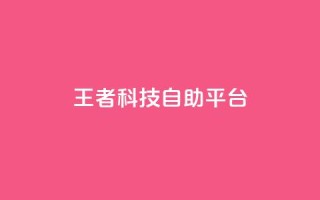 王者科技自助平台 - qq会员卡盟平台官网