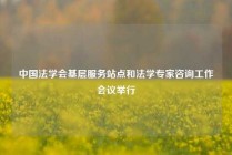 中国法学会基层服务站点和法学专家咨询工作会议举行