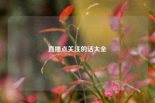 直播点关注的话大全