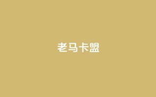 老马卡盟,低价业务平台 - 拼多多自助业务网 - 拼多多助力活动攻略