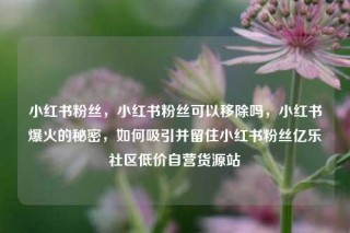 小红书粉丝，小红书粉丝可以移除吗，小红书爆火的秘密，如何吸引并留住小红书粉丝亿乐社区低价自营货源站