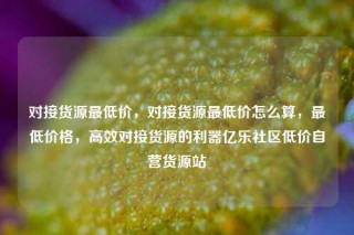 对接货源最低价，对接货源最低价怎么算，最低价格，高效对接货源的利器亿乐社区低价自营货源站