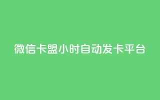 微信卡盟24小时自动发卡平台 - 微信卡盟24小时自动发卡平台 - 24小时自动发卡，助力微信卡盟!