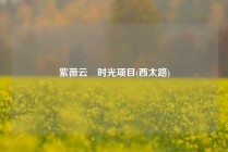 紫薇云璟时光项目(西太路)