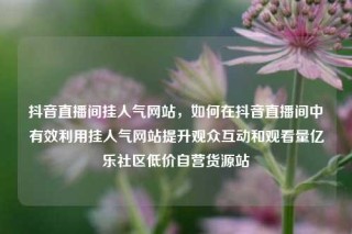 抖音直播间挂人气网站，如何在抖音直播间中有效利用挂人气网站提升观众互动和观看量亿乐社区低价自营货源站